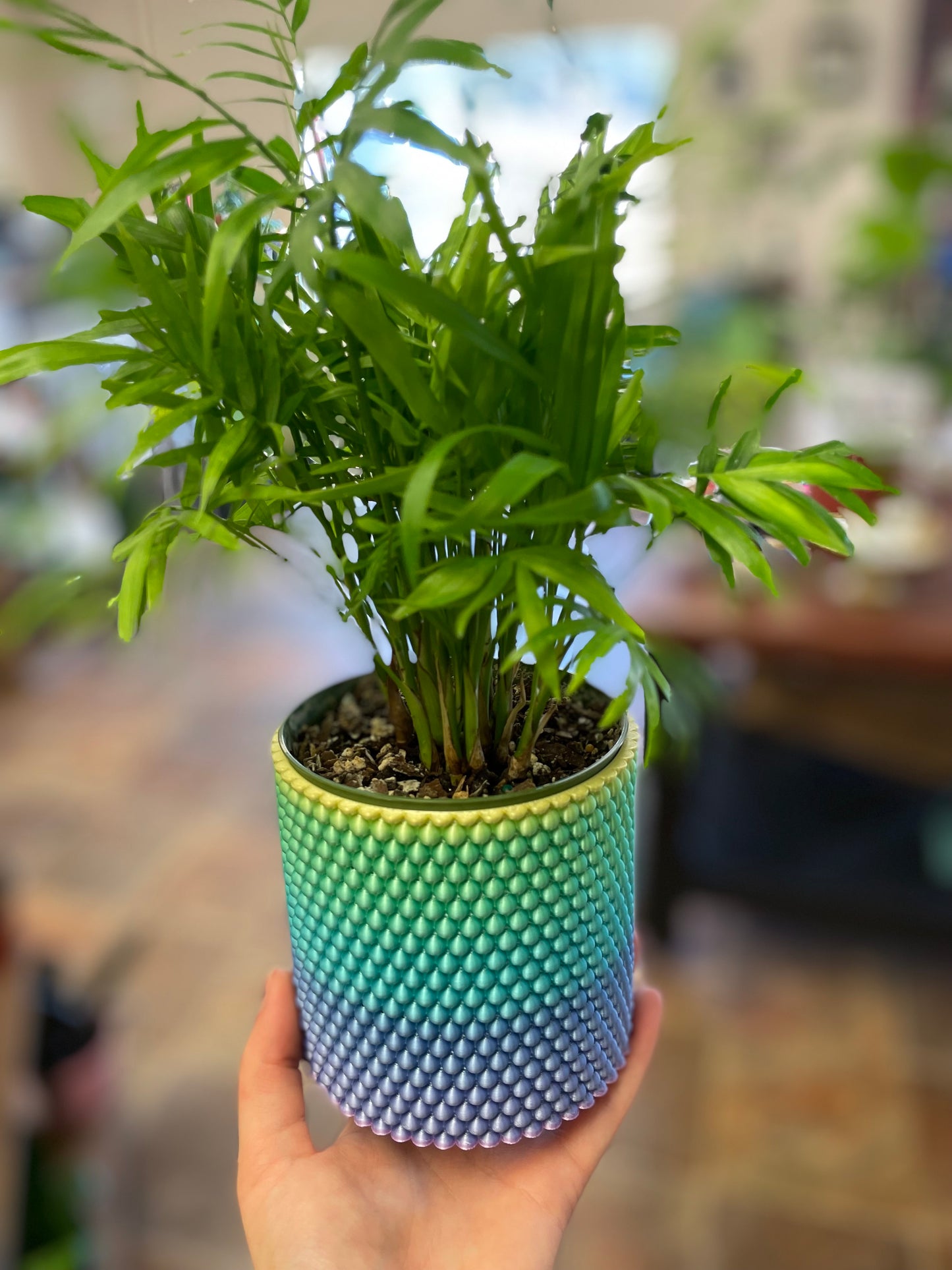 Ombré pearl 3D printed pots