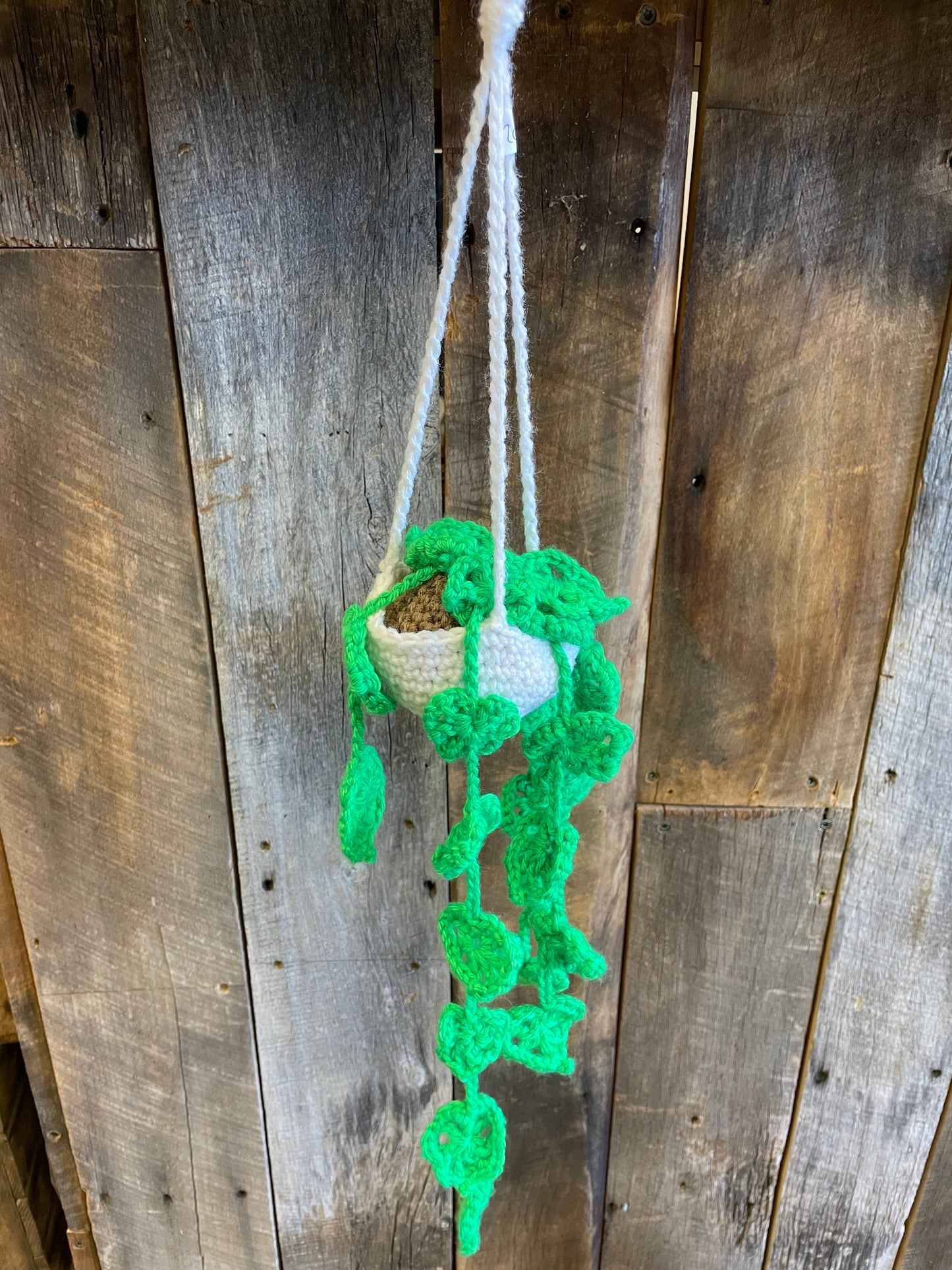 Crochet Hanging Plant