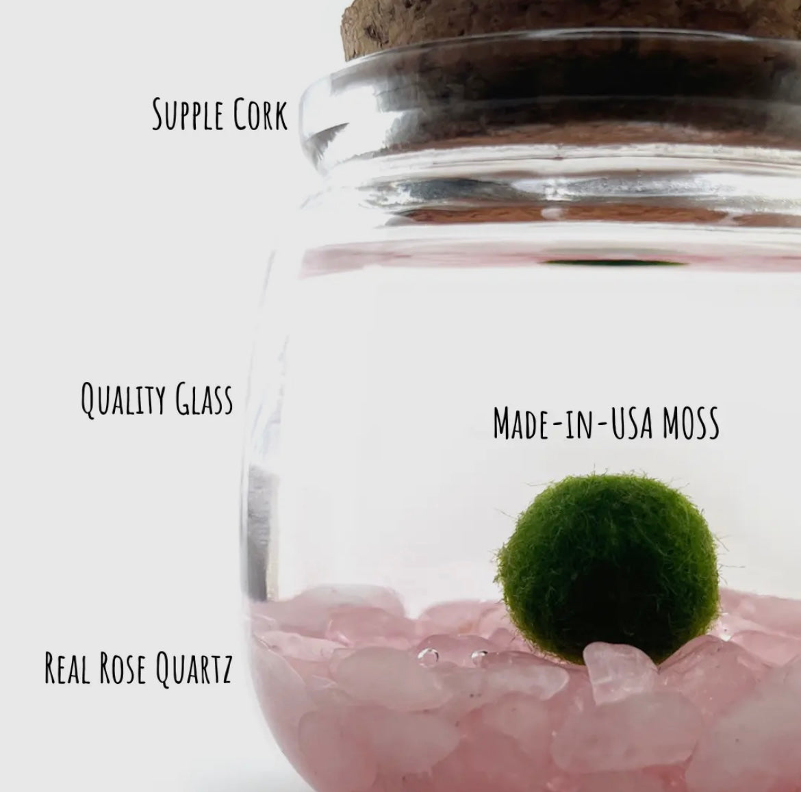 *Mid Size* Rose Quartz Live Moss Ball