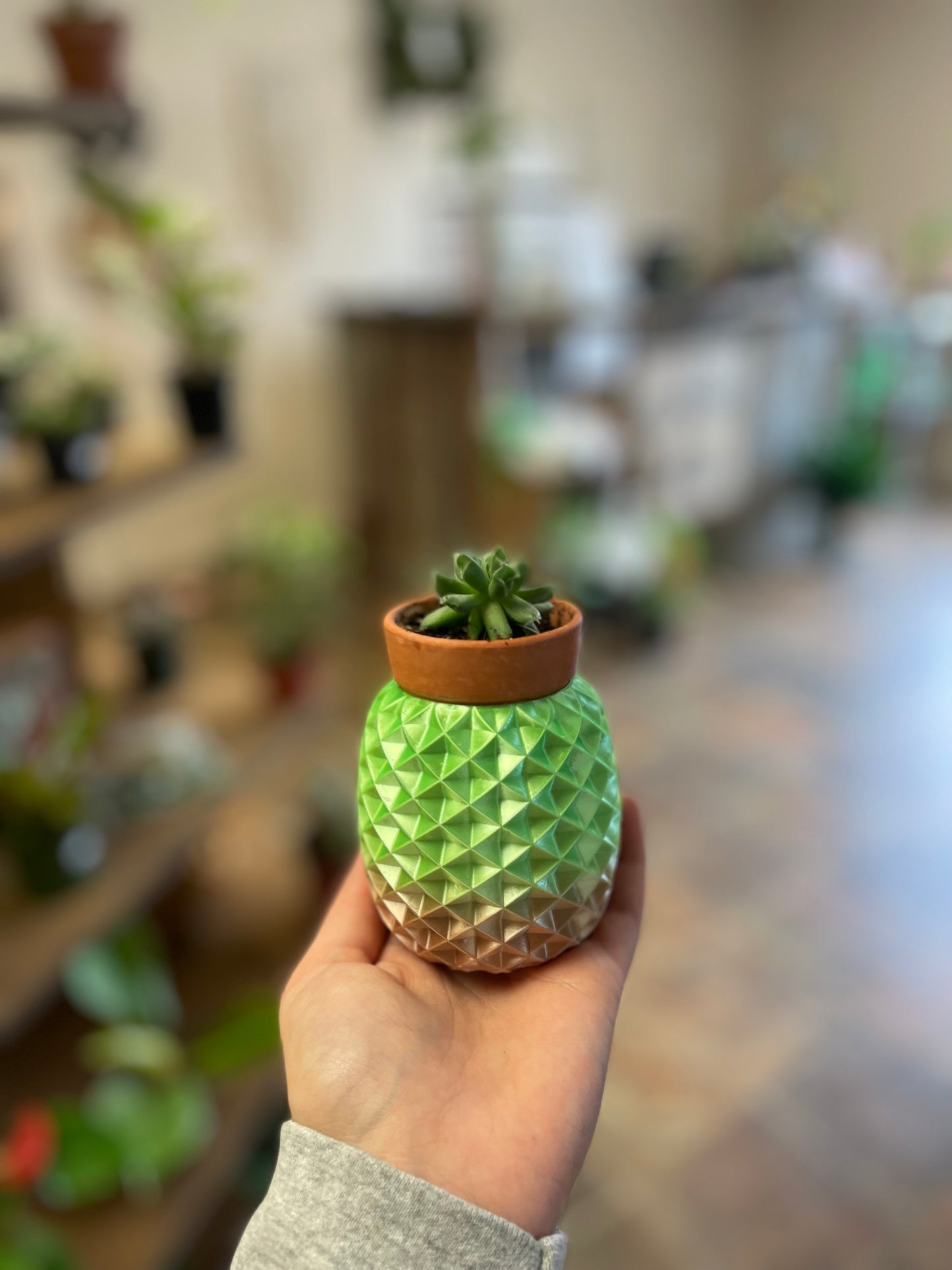 Small 3D printed pots
