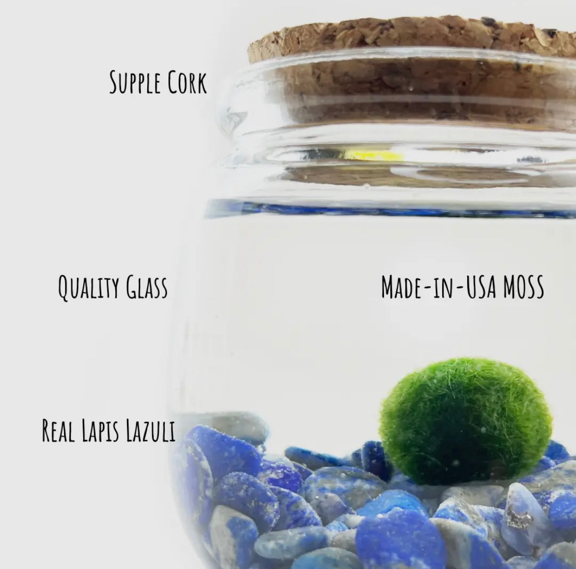 *MID SIZE* Lapis Lazuli Live Moss Ball