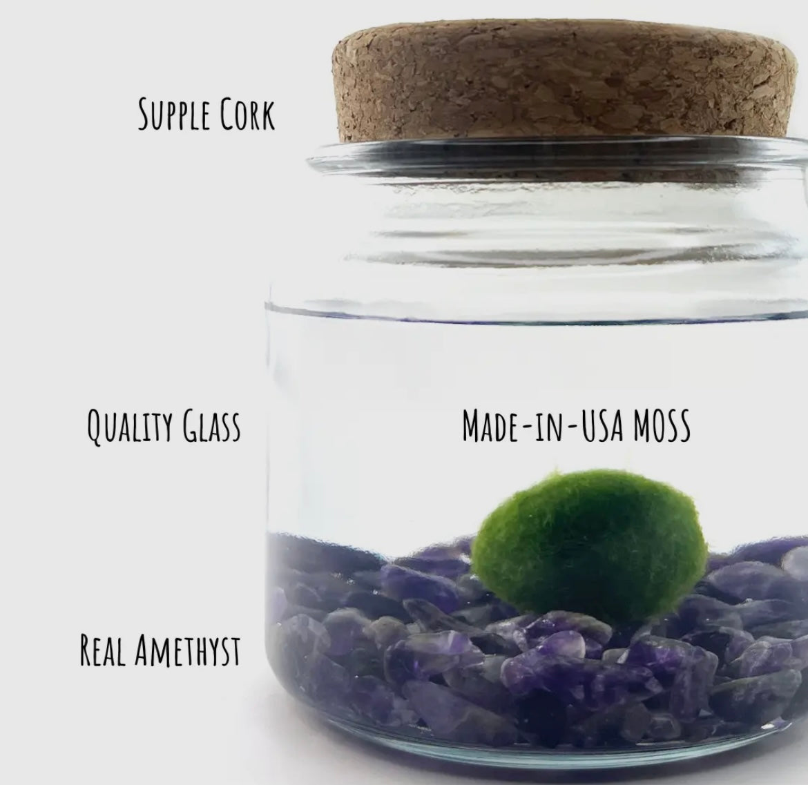 *BIG* Amethyst Live Moss Ball