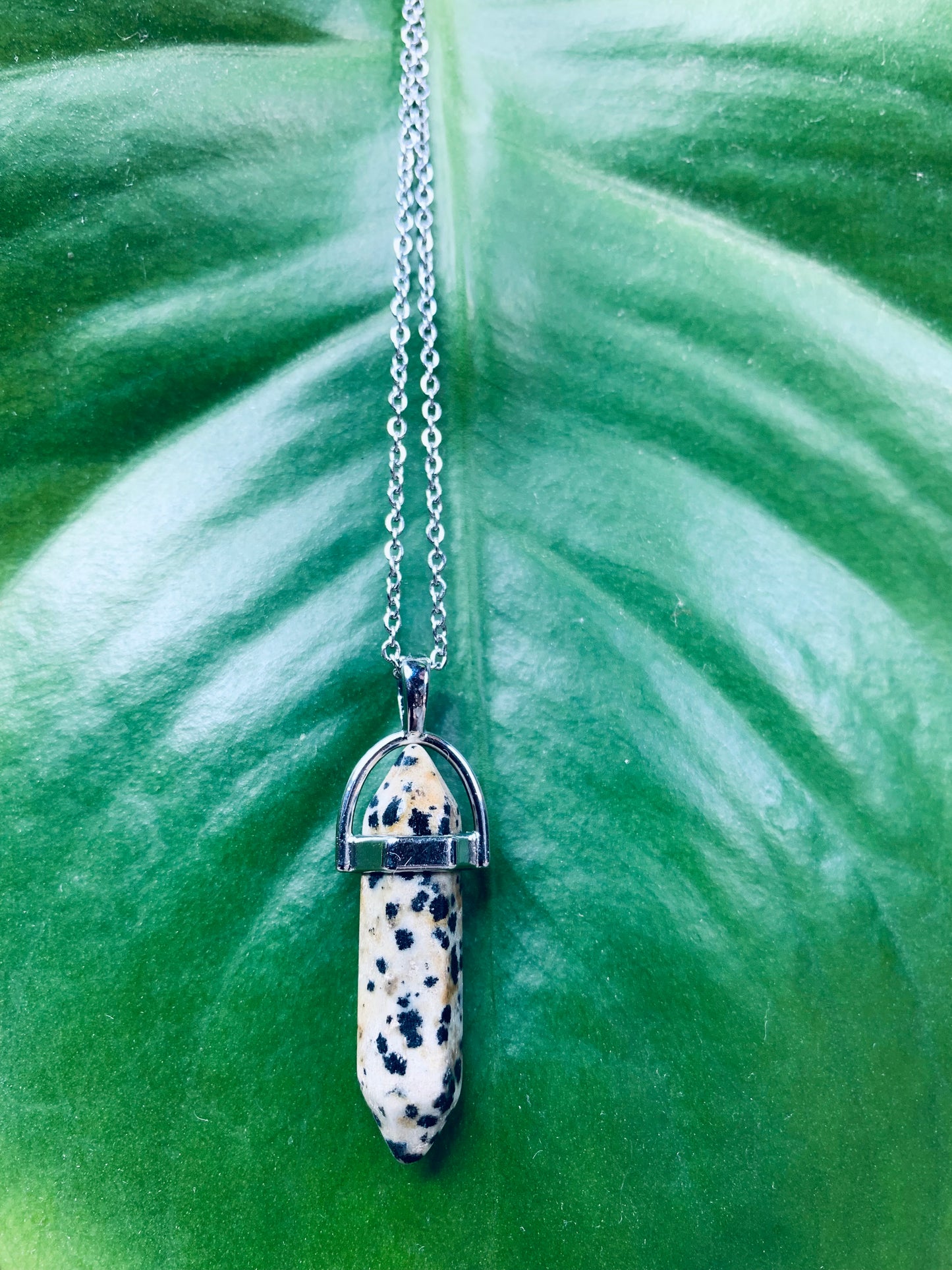 Dalmation Jasper Crystal Necklace