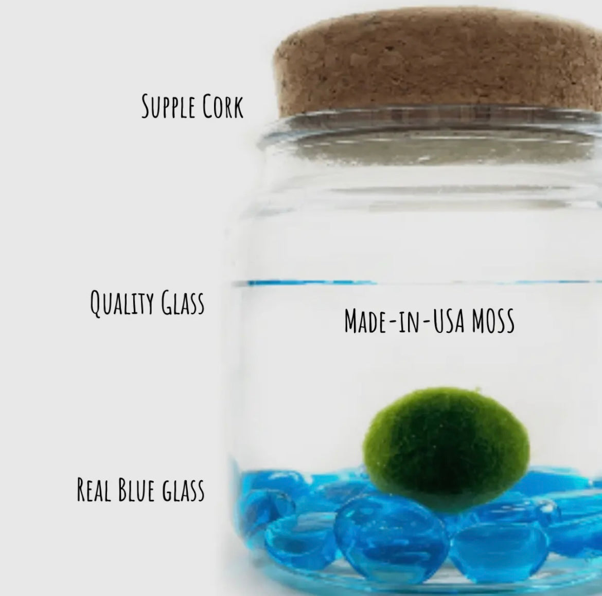 *BIG* Blue Stone Live Moss Ball