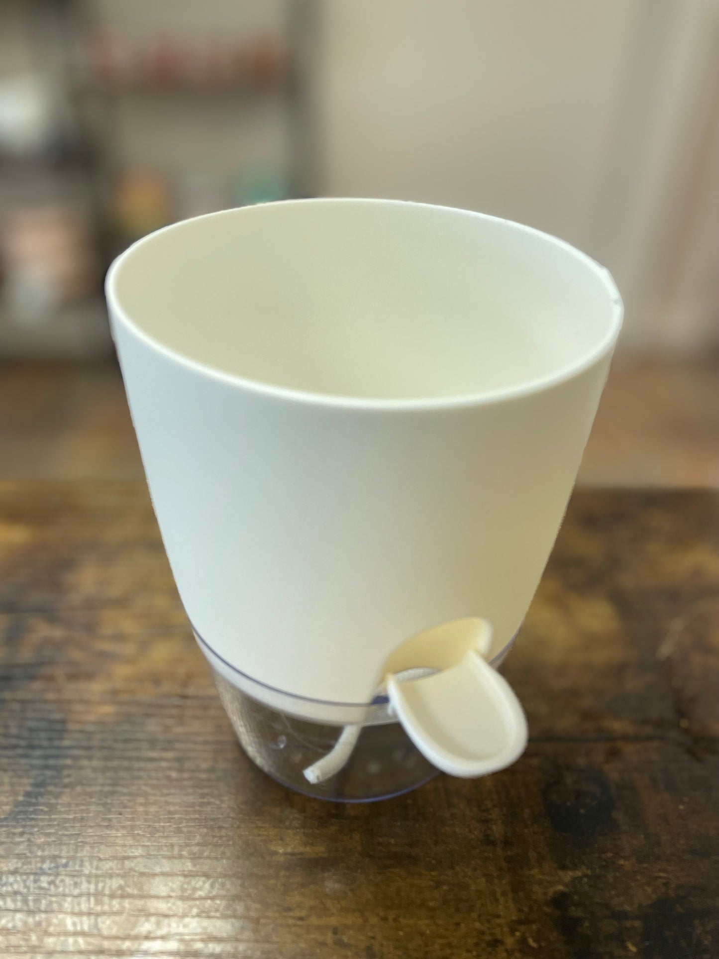 Self Watering Pot