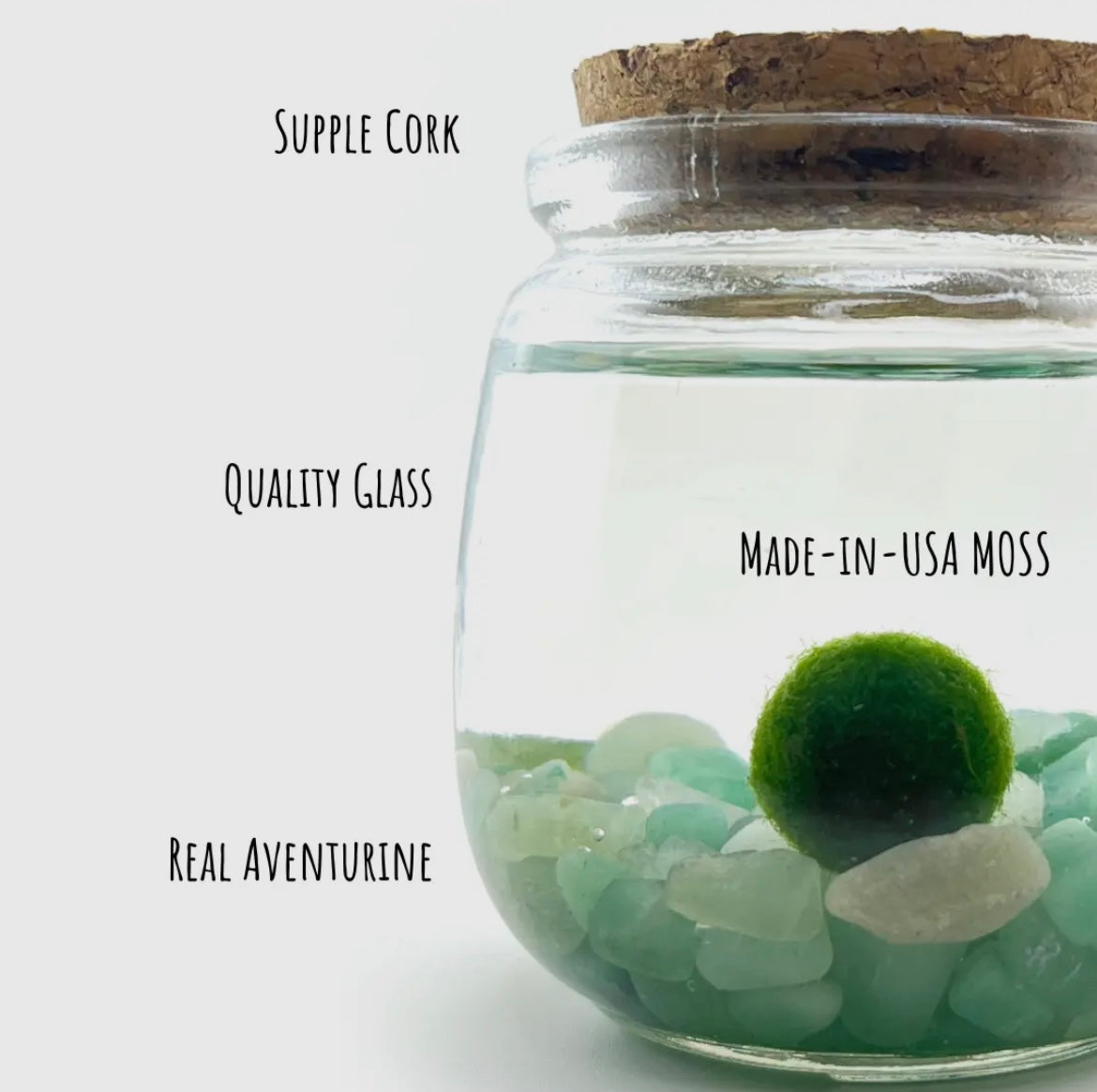 *Mid Size* Aventurine Live Moss Ball