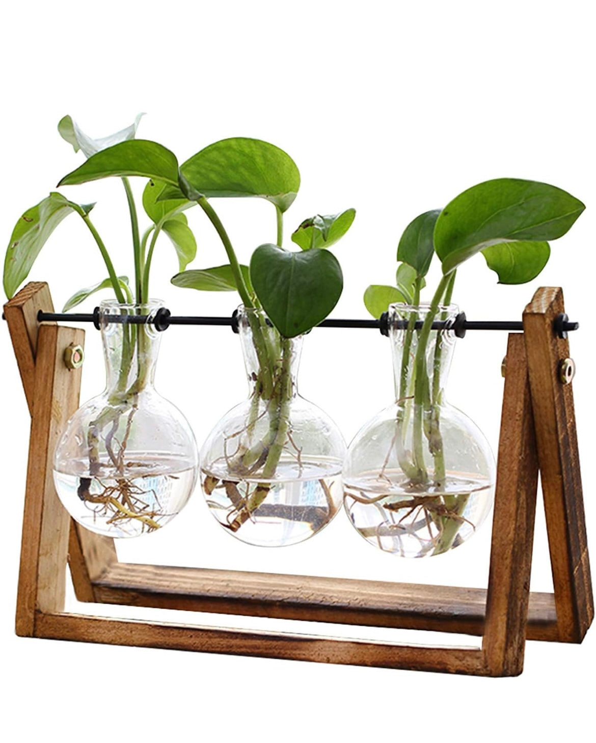 Propagation Station