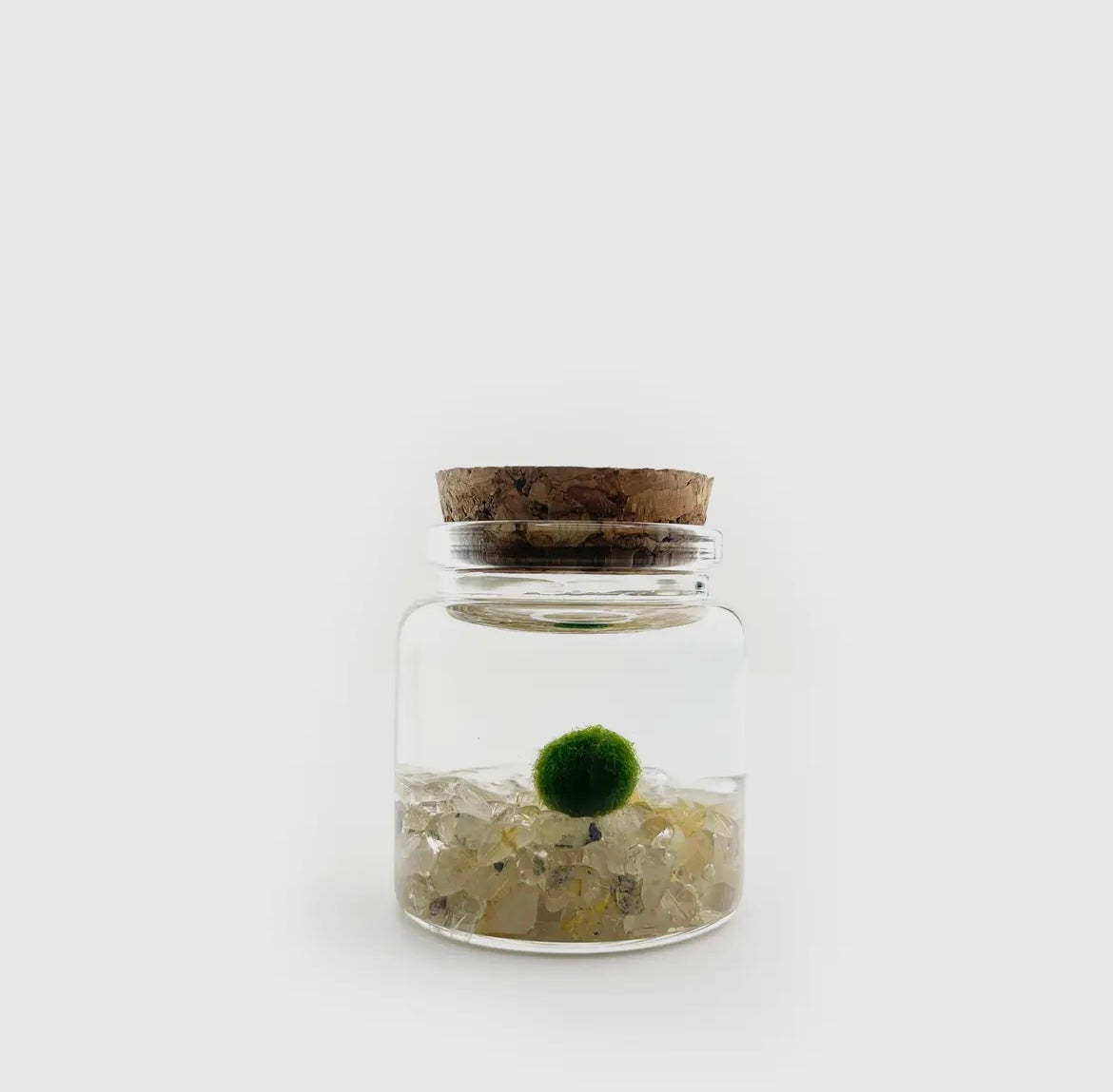 Golden Quartz Live Moss Ball
