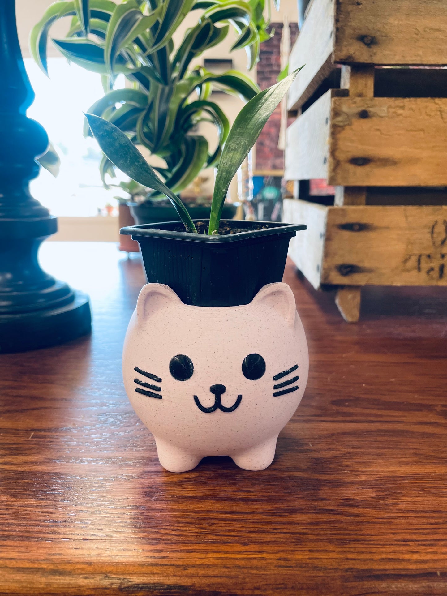 Pink Kitty Plant Pot