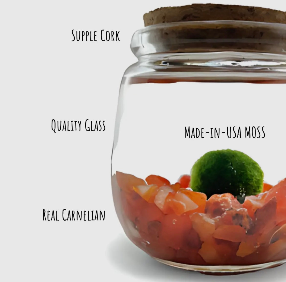 *MID SIZE* Carnelian Live Moss Ball