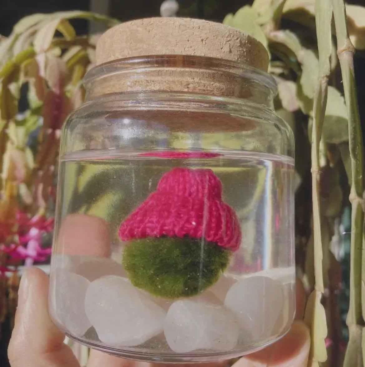 Moss Ball Beanie *Accessory*