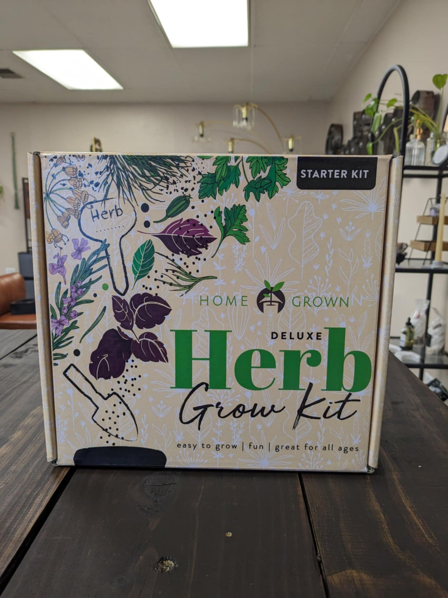 Herb Garden Starter Kit