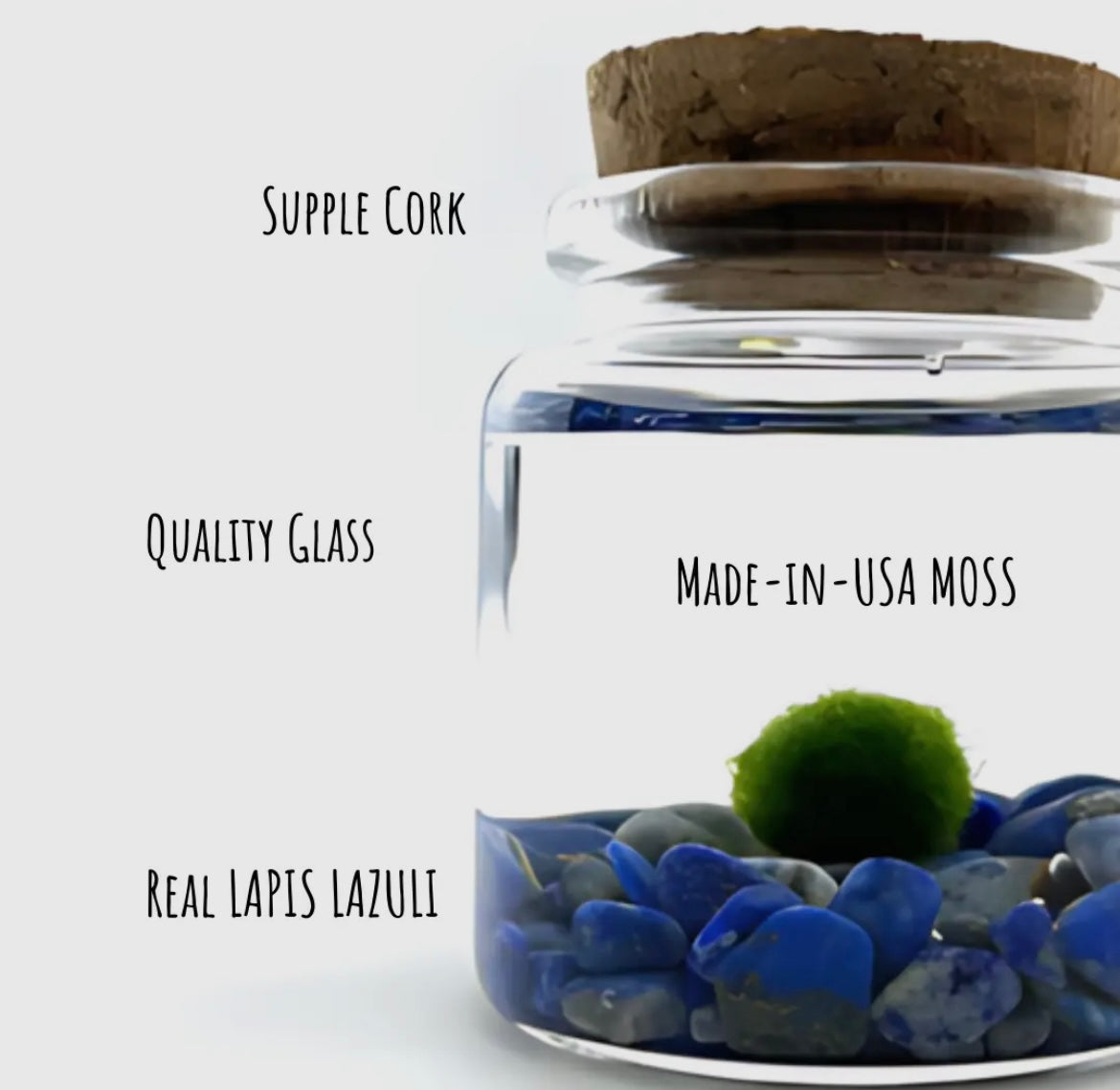 Lapis Lazuli Live Moss Ball