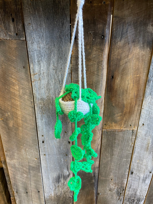Crochet Hanging Plant