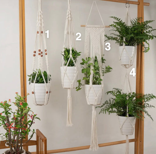 Macrame Plant Hangers .2