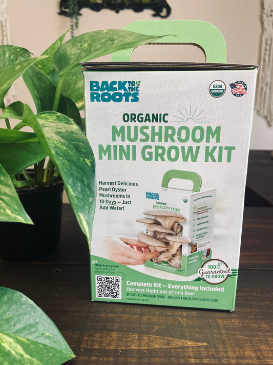 Organic Mushroom Mini Grow Kit