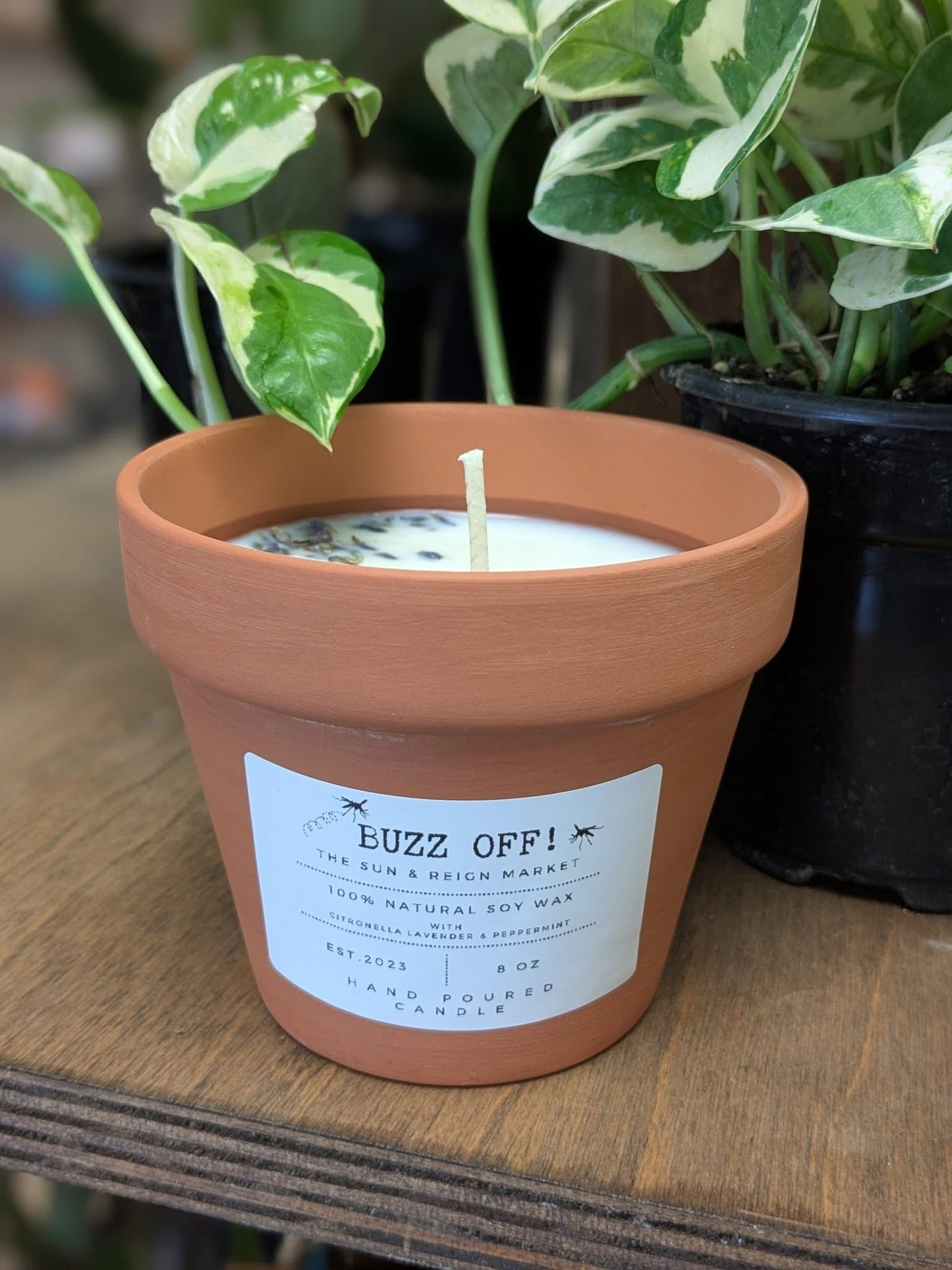 BUZZ OFF! Citronella candle