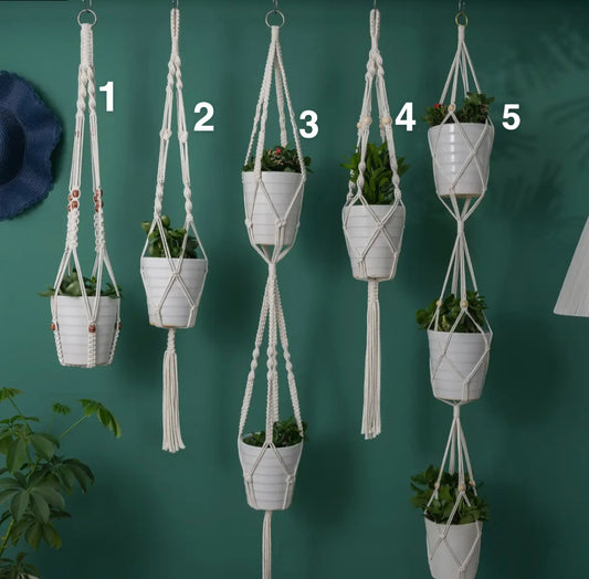 Macrame Plant Hangers