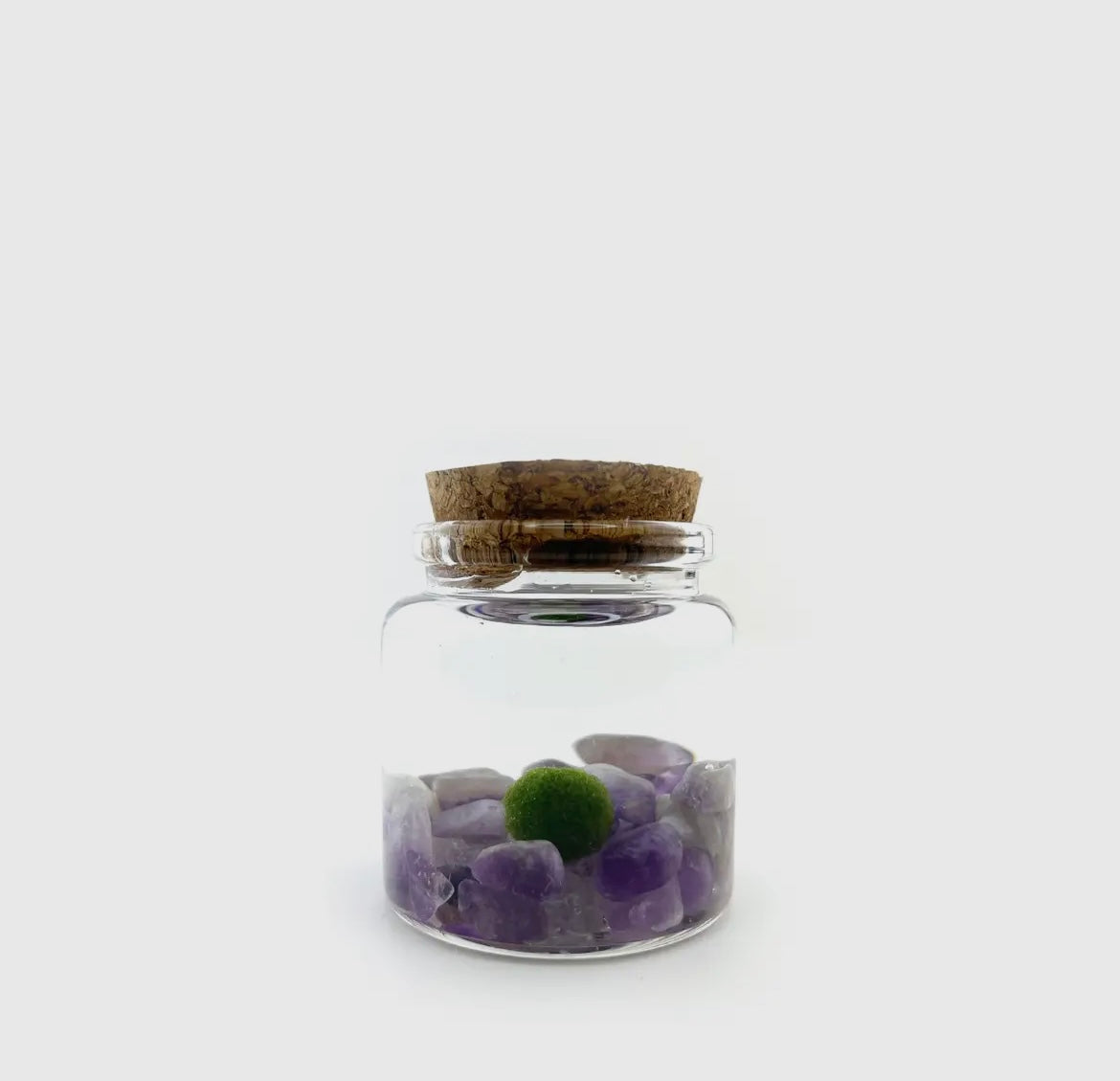 Amethyst Live Moss Ball