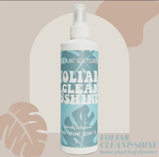 Foliar Clean & Shine