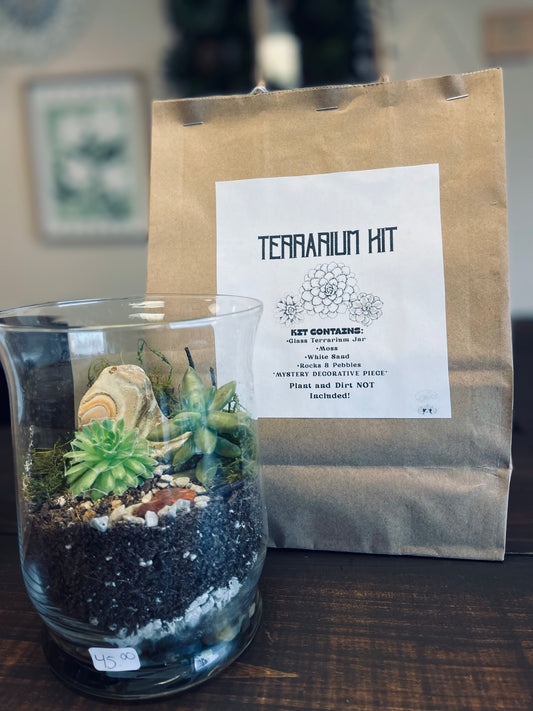 Terrarium Kit