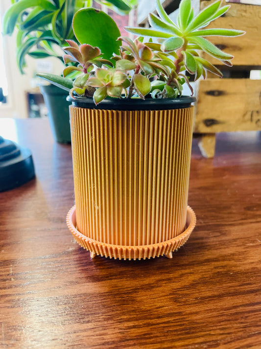 Rose gold Ombré 3D Printed Plant Pot