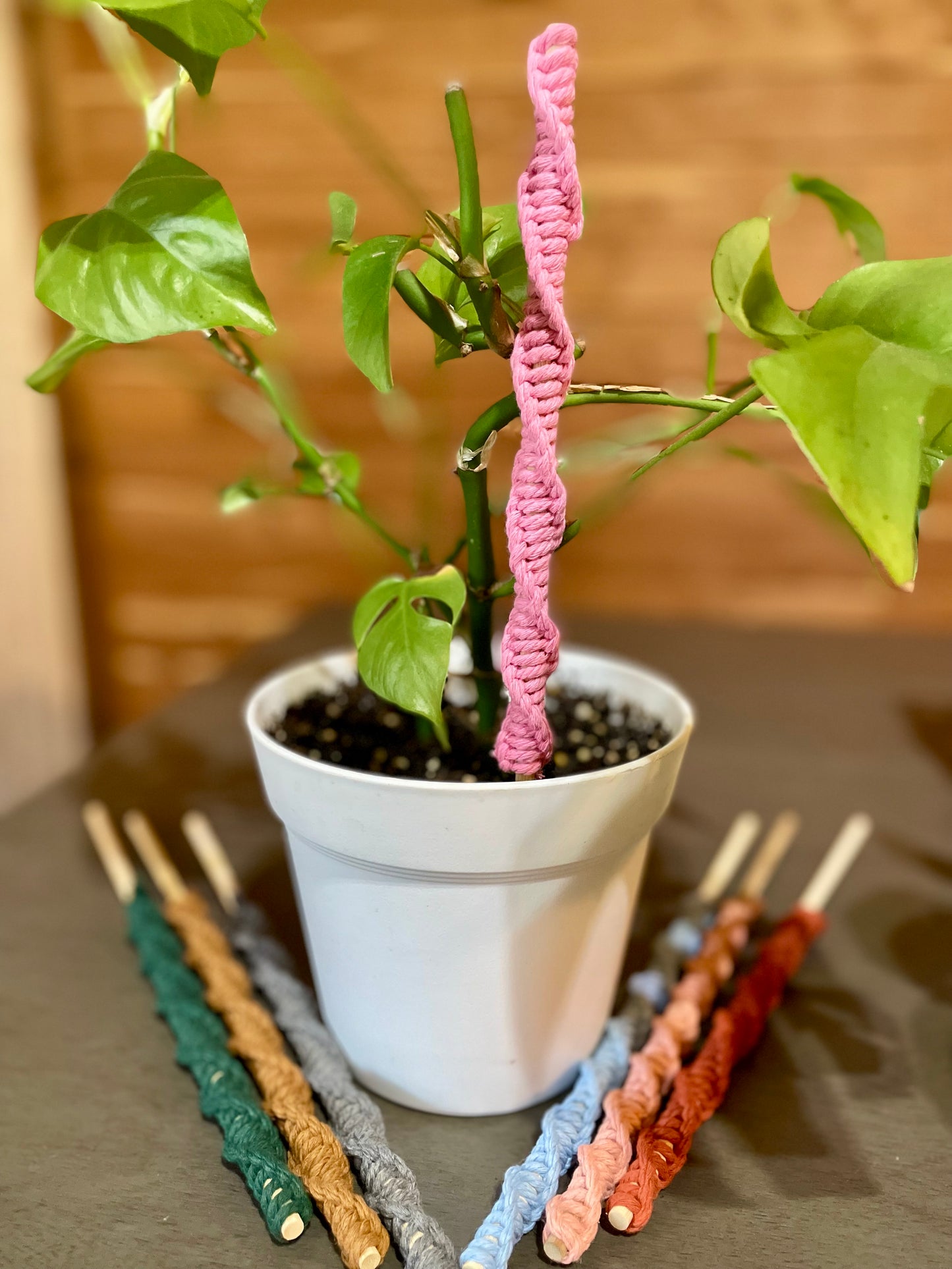 Macrame Plant Stake
