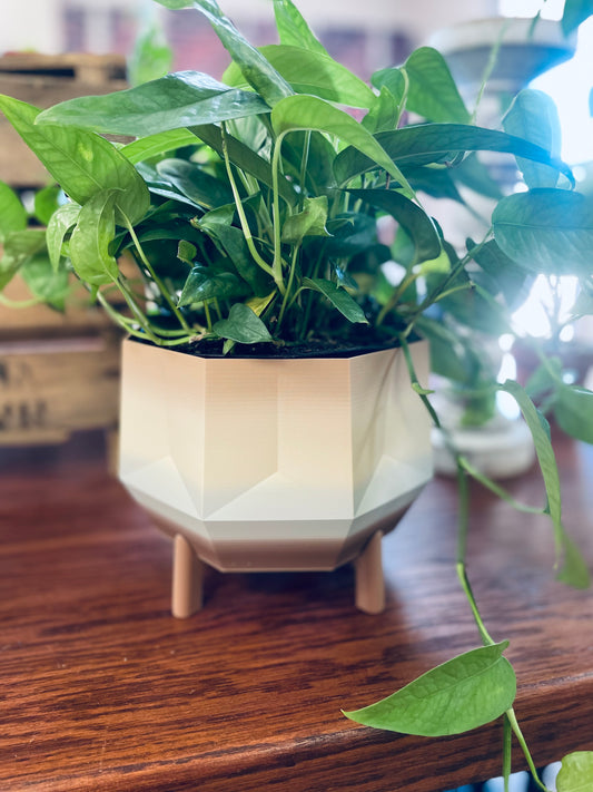 Large Neutral Ombré 3D Printed Plant Pot