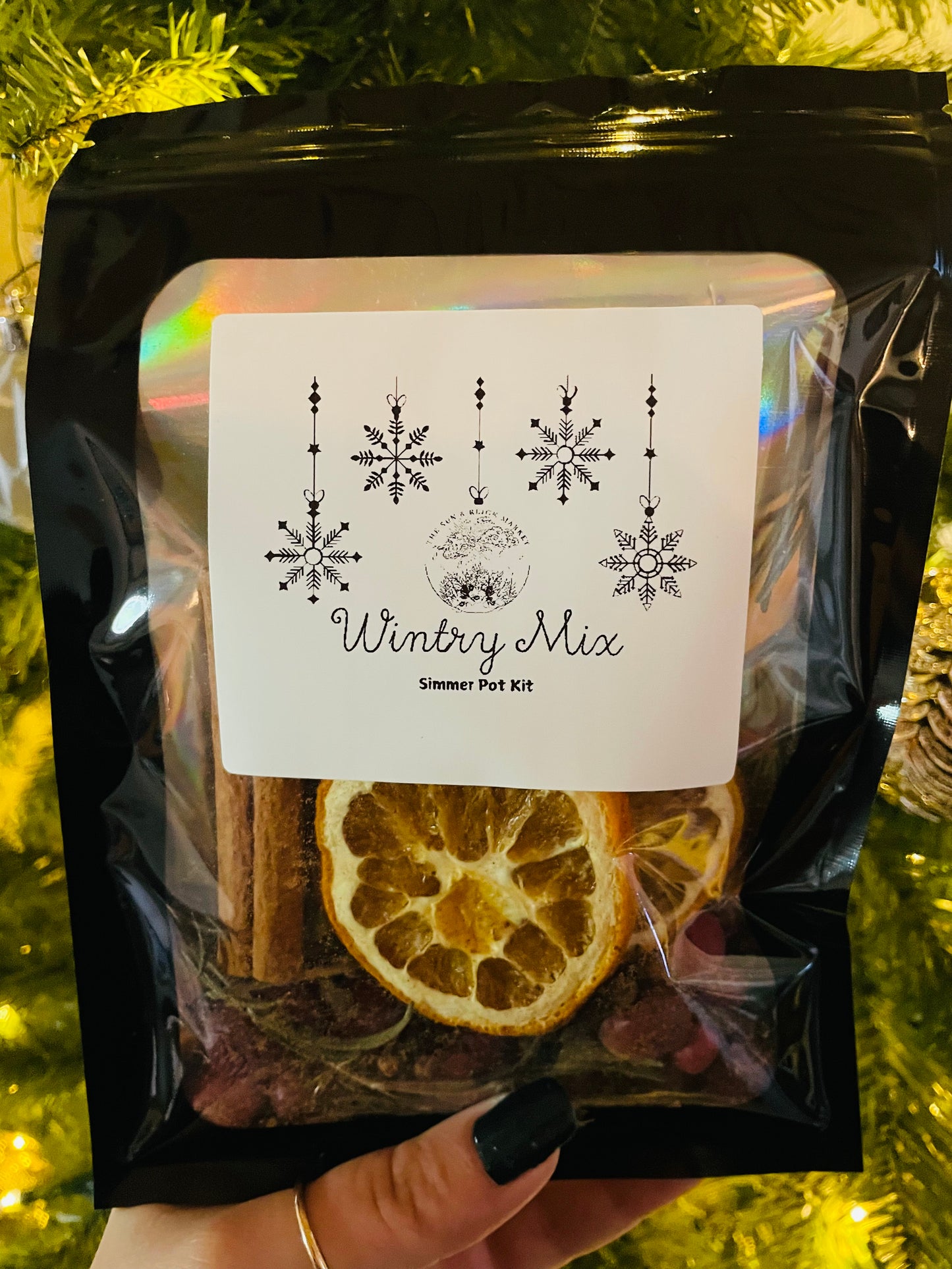 Wintry Mix Simmer Pot Kit