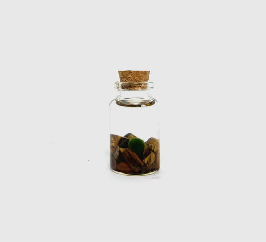 *Small* Tigers Eye Live Moss Ball