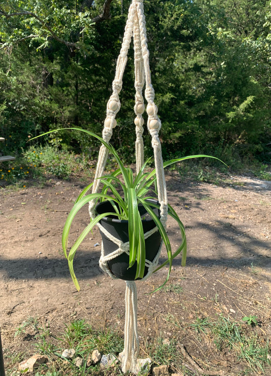 White Beaded Macrame Plant Hanger