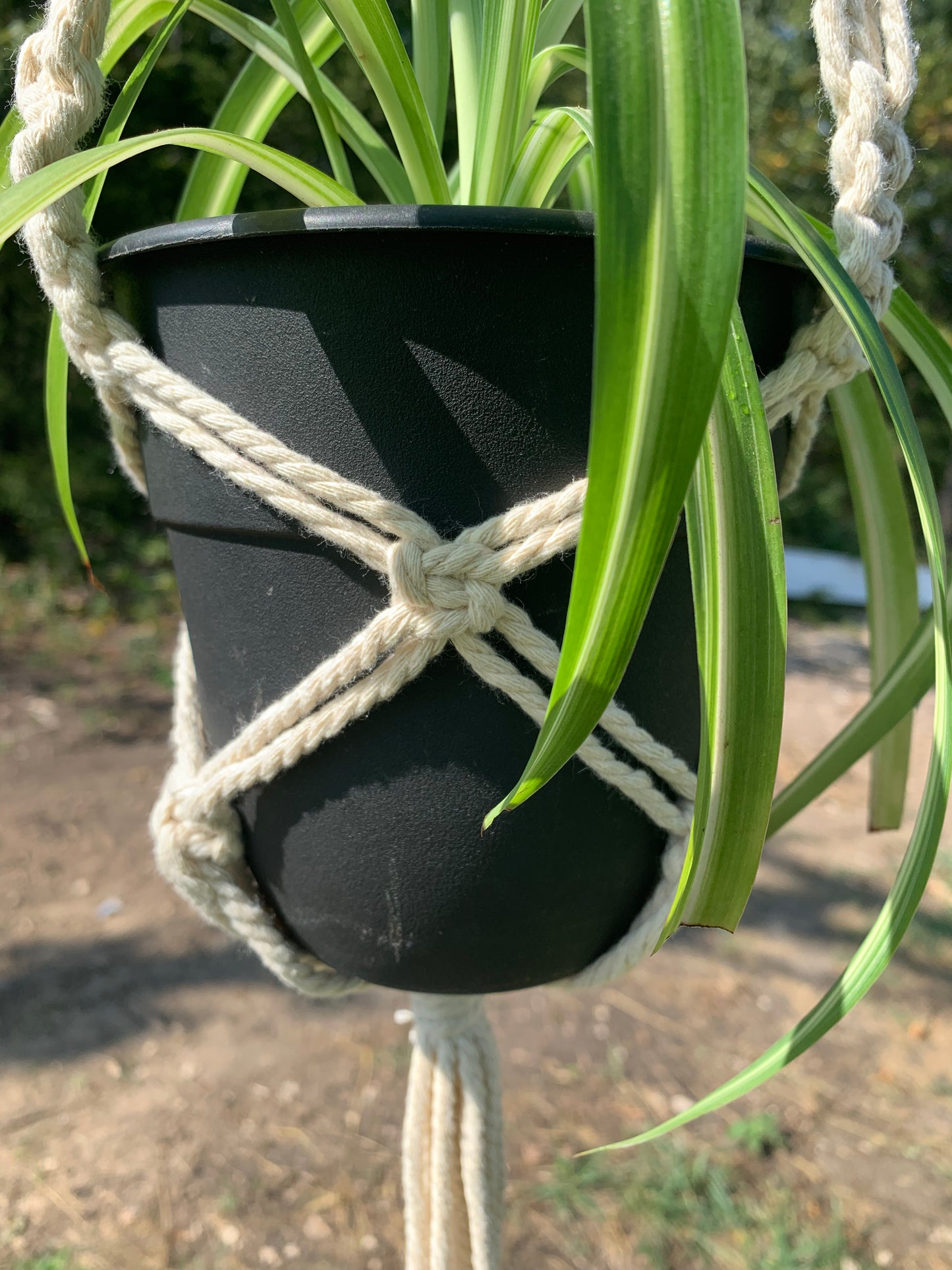 White Beaded Macrame Plant Hanger