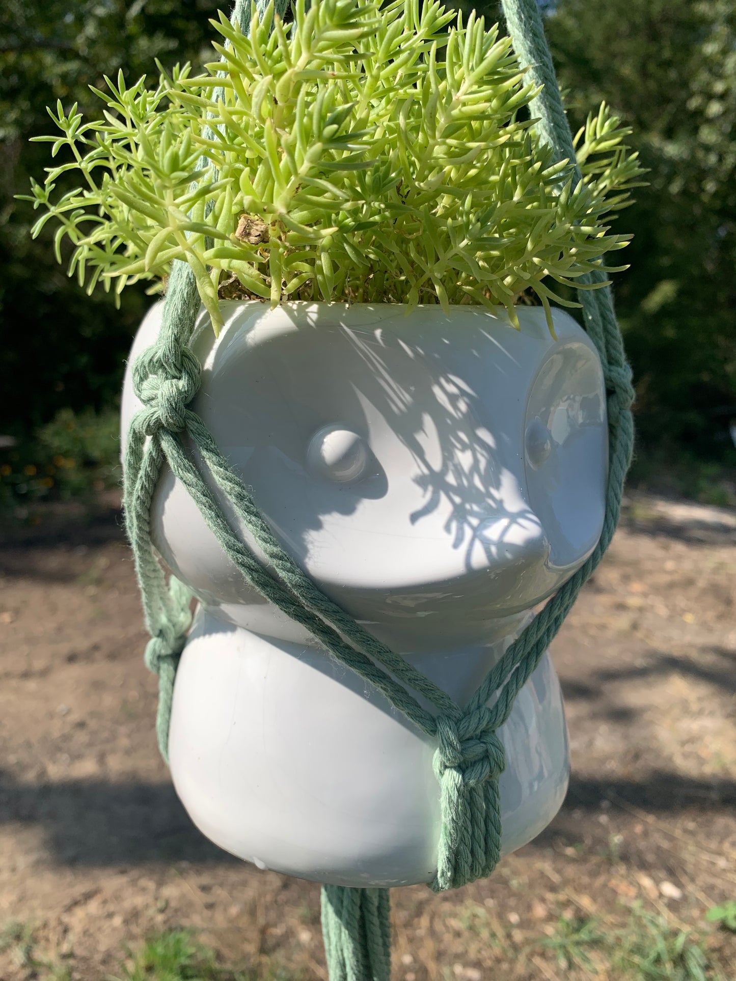 Sage Green Macrame Plant Hanger